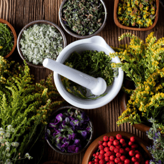 Buy High Quality Dried Herbs Online