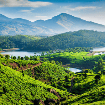 Origin: India
