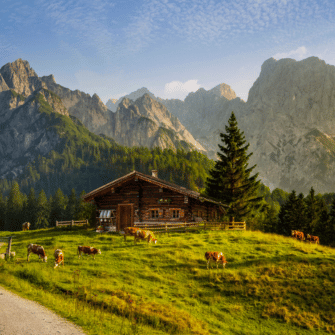 Origin: Germany