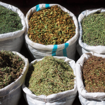 Herbal Aroma