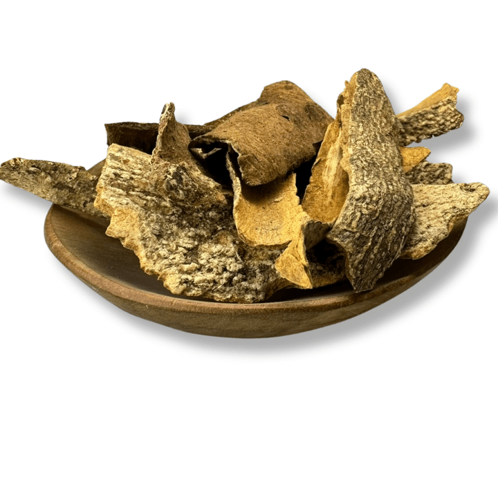 Angostura Bark Cut