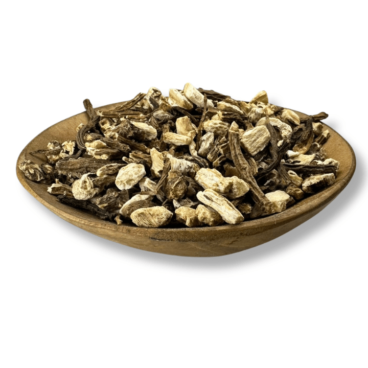 Angelica Root Organic