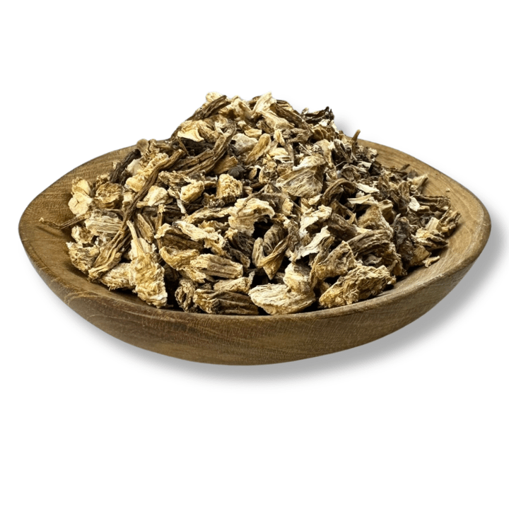 Angelica Root
