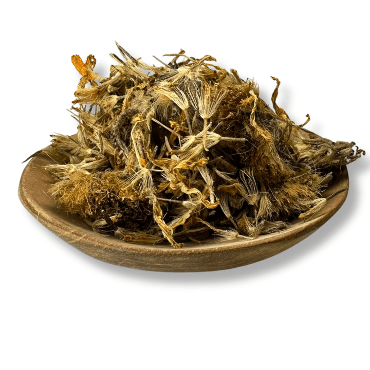 Arnica Flowers